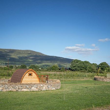Bluebell Lane Glamping Hotel Newry Ngoại thất bức ảnh