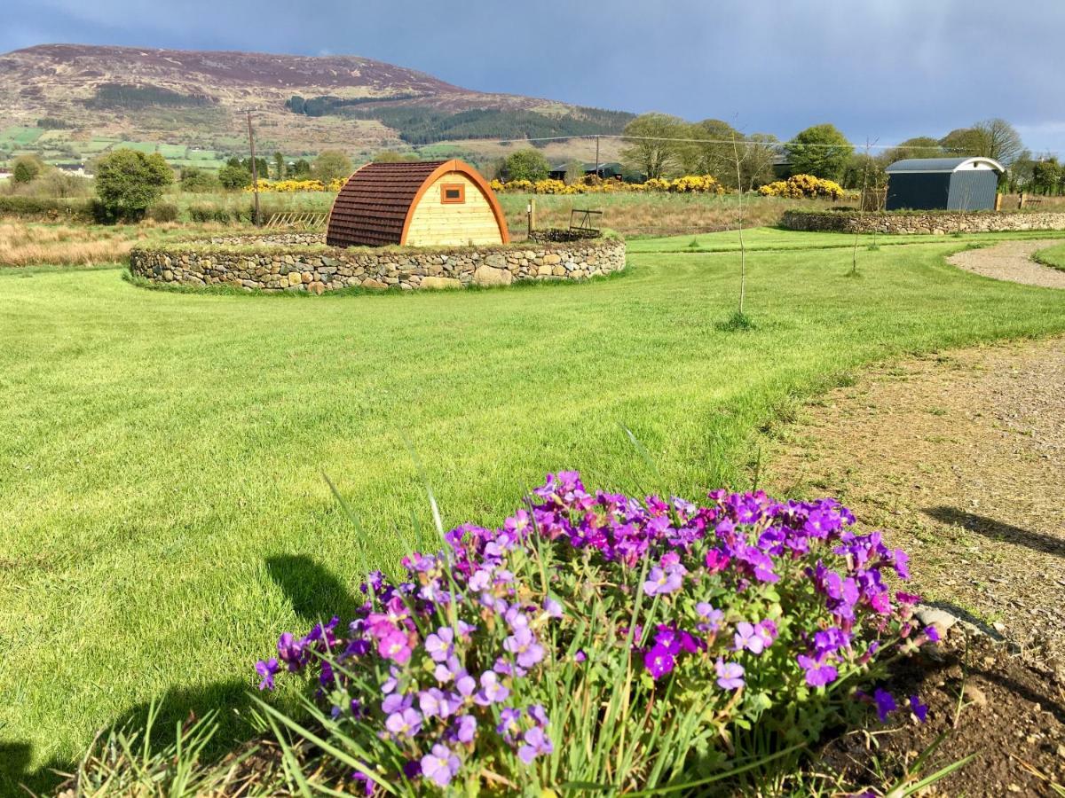 Bluebell Lane Glamping Hotel Newry Ngoại thất bức ảnh