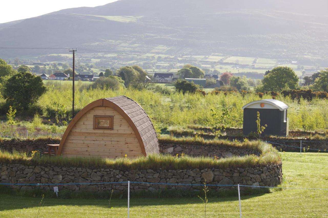 Bluebell Lane Glamping Hotel Newry Ngoại thất bức ảnh
