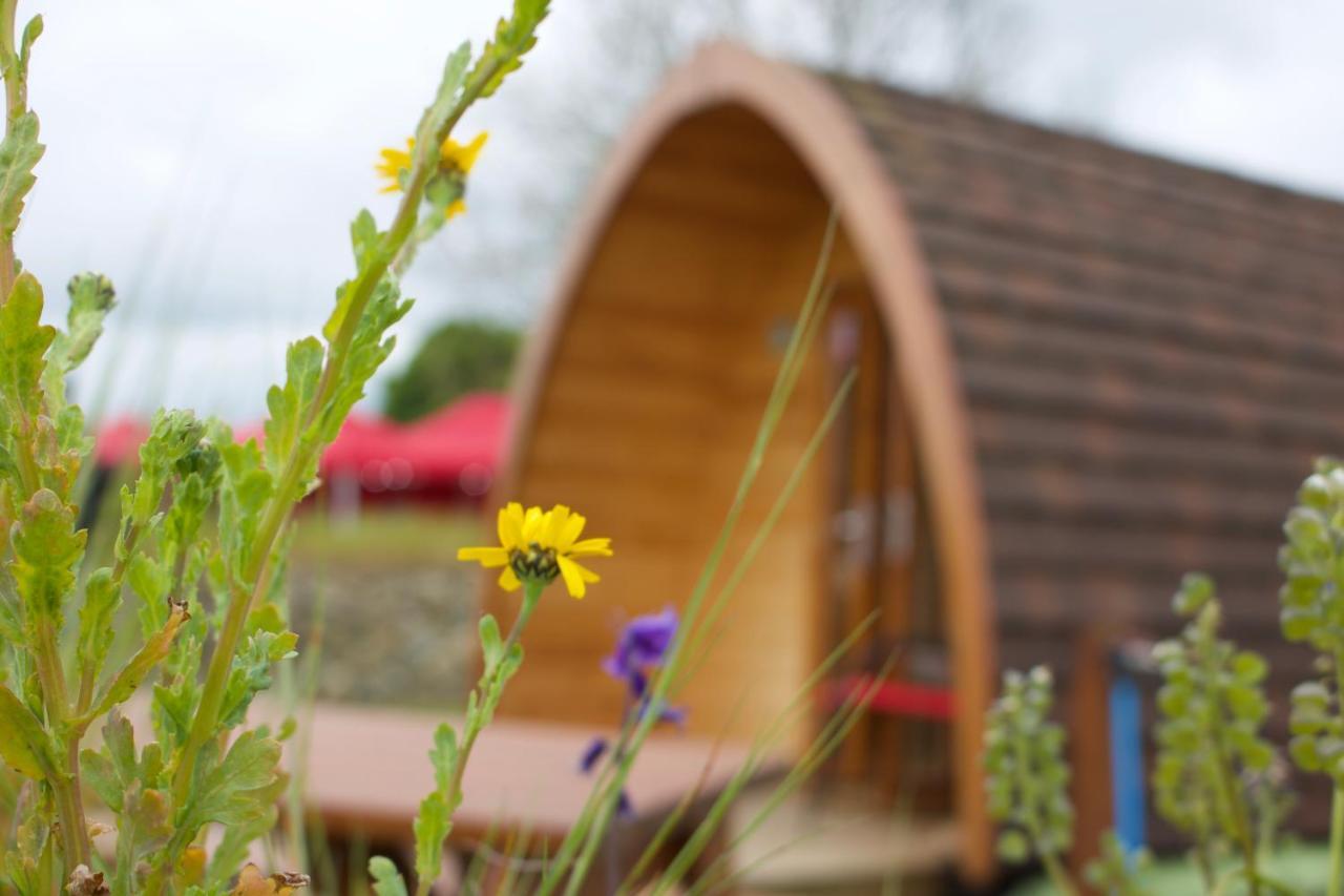 Bluebell Lane Glamping Hotel Newry Ngoại thất bức ảnh