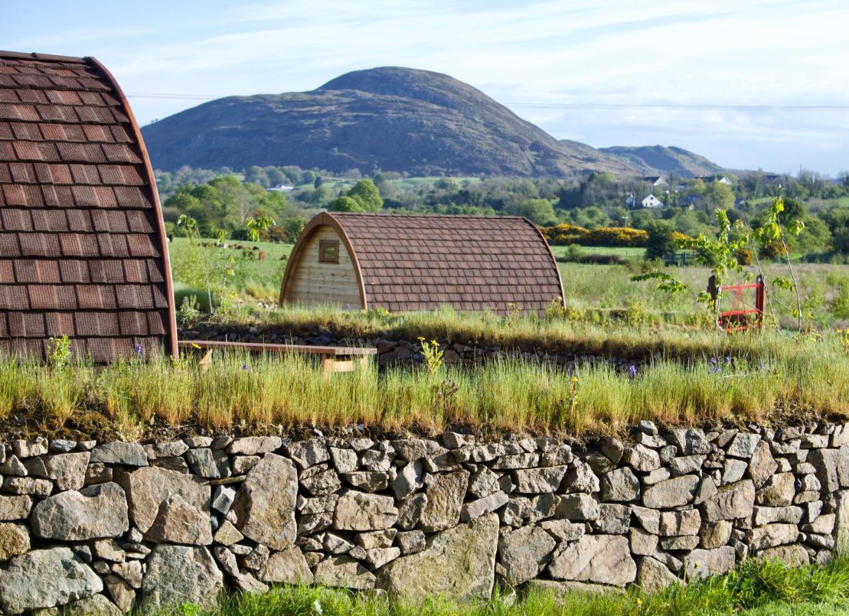 Bluebell Lane Glamping Hotel Newry Ngoại thất bức ảnh
